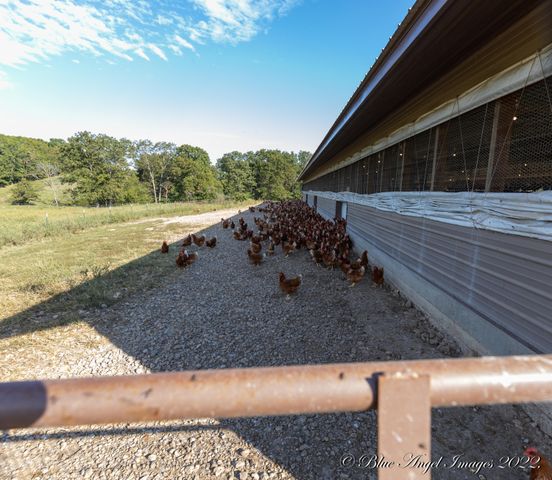 4408 County Road 7480, West Plains, MO 65775