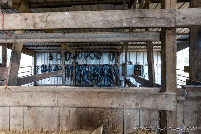 4408 County Road 7480, West Plains, MO 65775