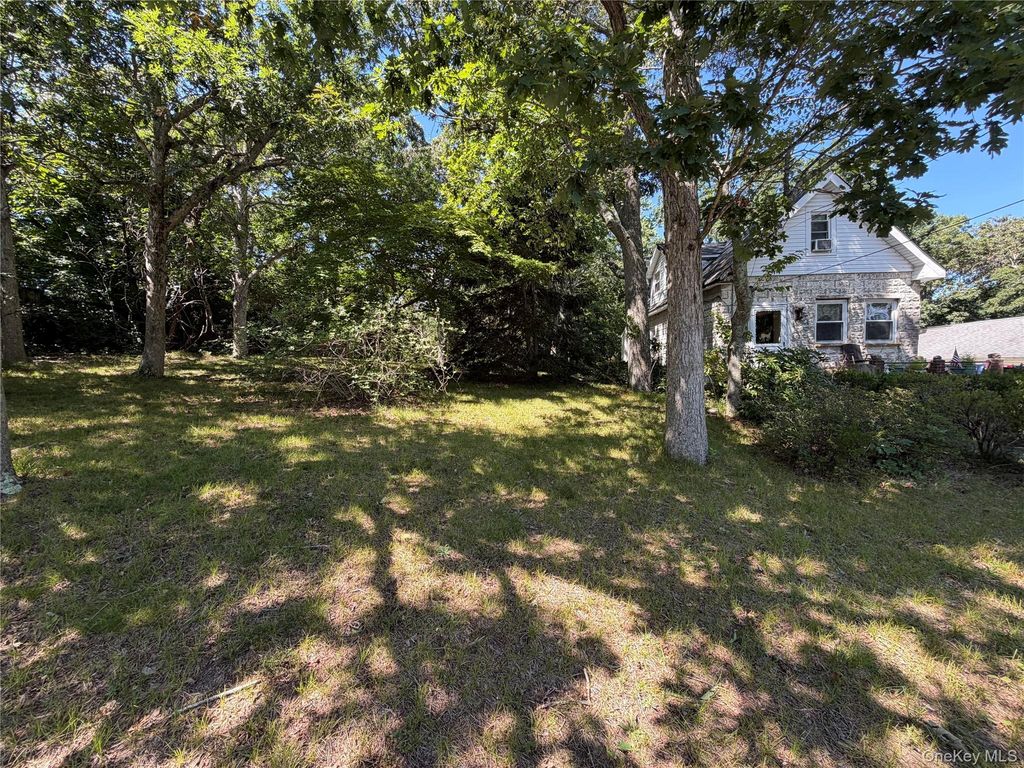 164 S Evergreen Drive, Selden, NY 11784 — photo 3