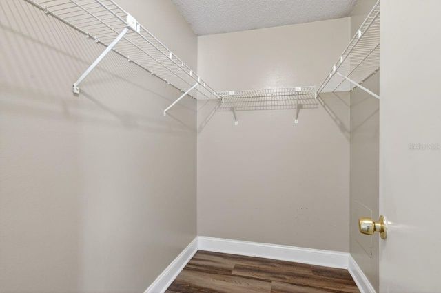 14319 HANGING MOSS CIRCLE 102, Tampa, FL 33613