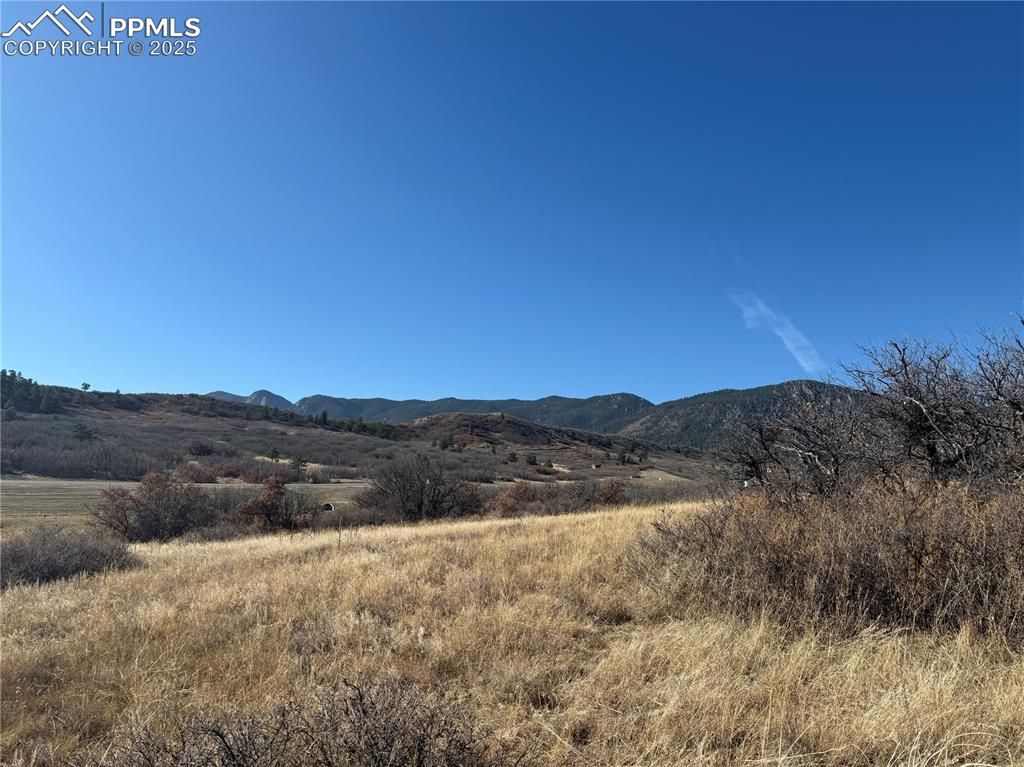 3354 White Bear Point, Colorado Springs, CO 80921 — photo 2