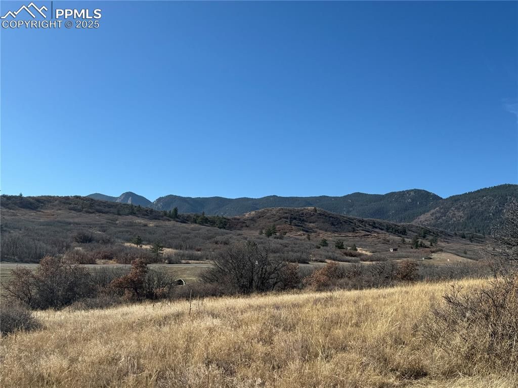 3354 White Bear Point, Colorado Springs, CO 80921 — photo 3