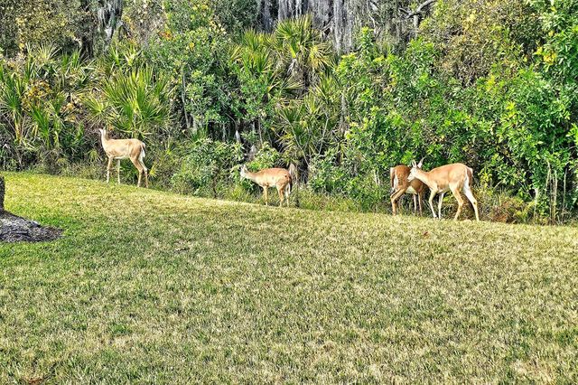 5253 CHASE OAKS DRIVE, Sarasota, FL 34241