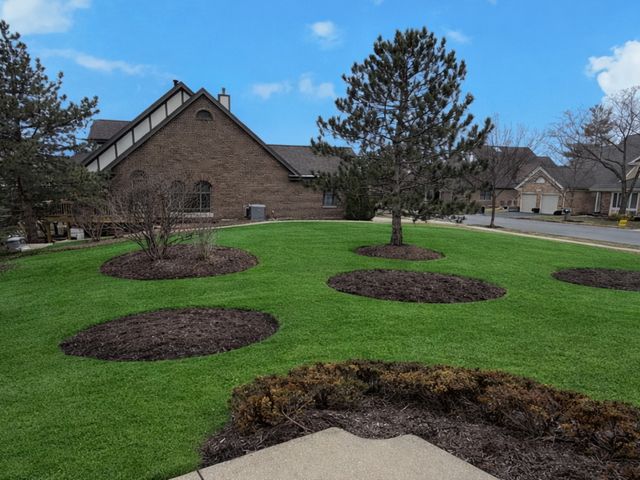 10709 Hollow Tree Road, Orland Park, IL 60462