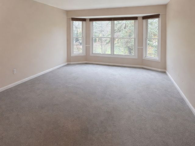 10709 Hollow Tree Road, Orland Park, IL 60462