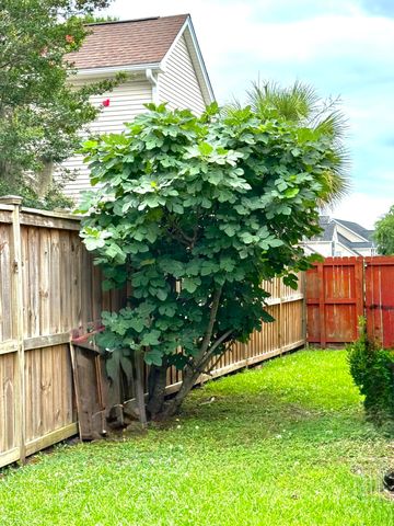 6114 Fieldstone Circle, Charleston, SC 29414