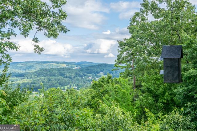 38 Old Blue Trail, Tiger, GA 30576
