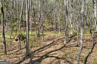 101 Heritage Plantation Drive, Ball Ground, GA 30107