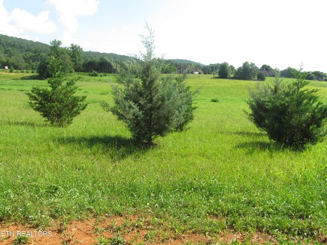 Edgewood Drive Drive, Sweetwater, TN 37874