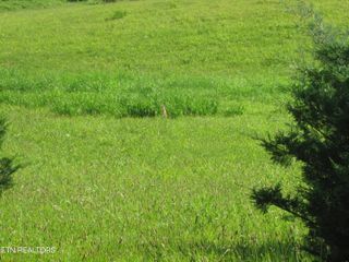 Edgewood Drive Drive, Sweetwater, TN 37874