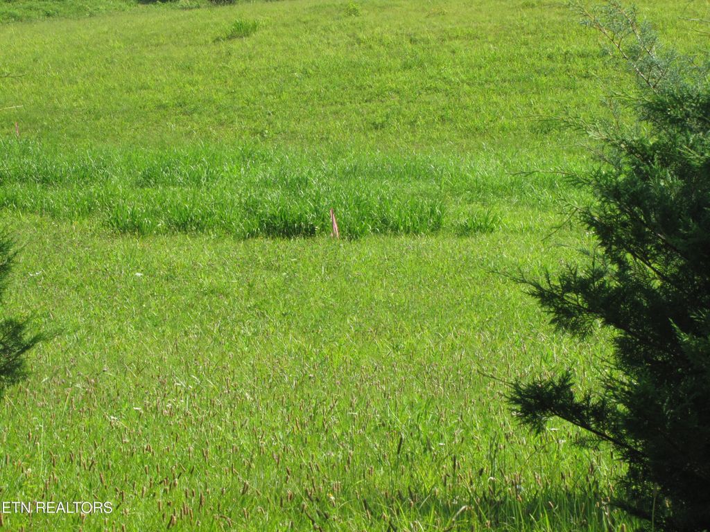 Edgewood Drive Drive, Sweetwater, TN 37874