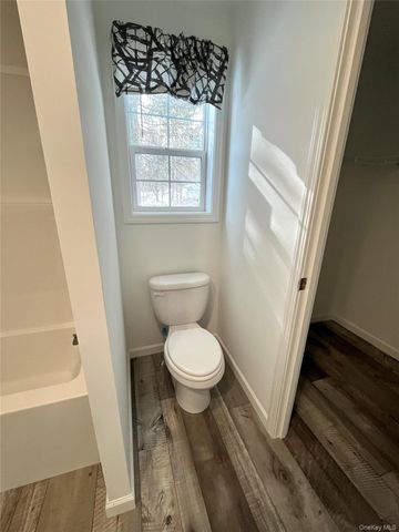 317 Debruce Road, Livingston Manor, NY 12758