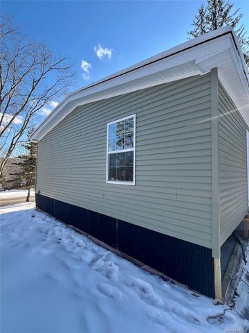 317 Debruce Road, Livingston Manor, NY 12758