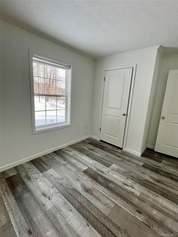 317 Debruce Road, Livingston Manor, NY 12758