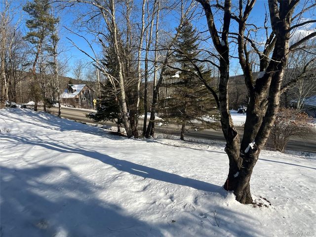 317 Debruce Road, Livingston Manor, NY 12758