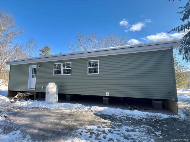 317 Debruce Road, Livingston Manor, NY 12758