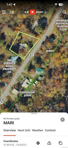 317 Debruce Road, Livingston Manor, NY 12758