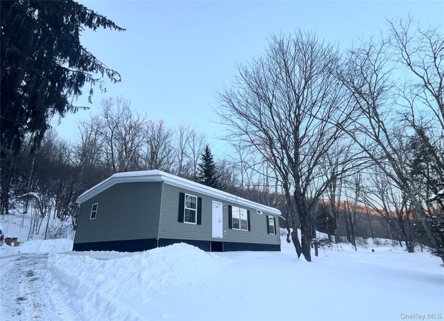 317 Debruce Road, Livingston Manor, NY 12758