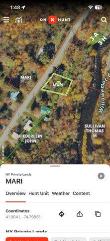 317 Debruce Road, Livingston Manor, NY 12758