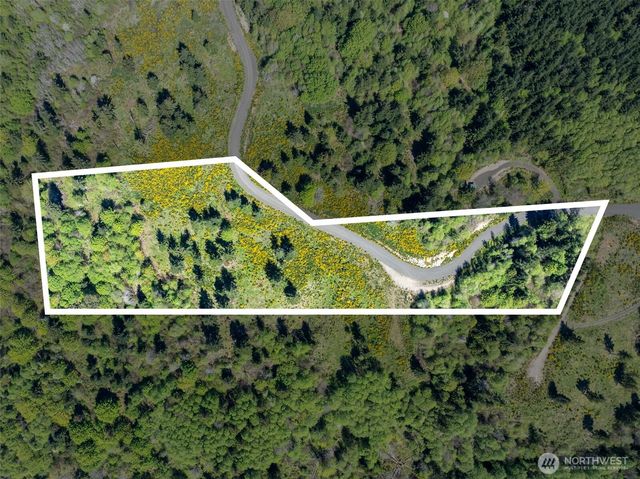 410 E Lone Fir Drive, Shelton, WA 98584