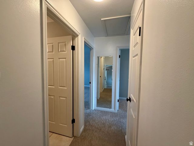1157 S 680 W, Payson, UT 84651