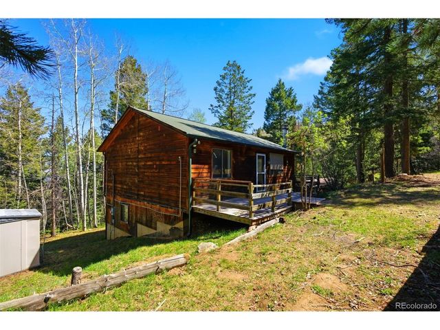 10215 Crystal Dr, Morrison, CO 80465