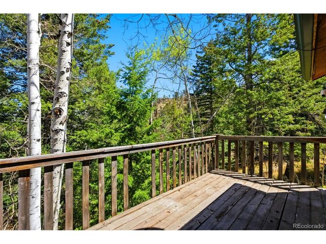 10215 Crystal Dr, Morrison, CO 80465