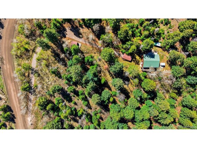 10215 Crystal Dr, Morrison, CO 80465