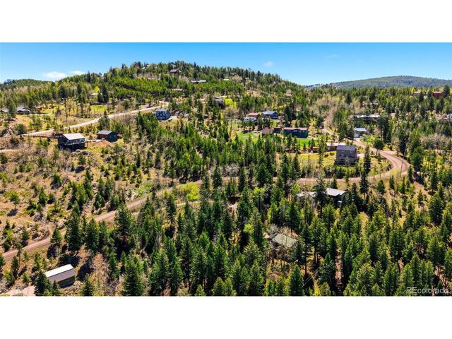 10215 Crystal Dr, Morrison, CO 80465