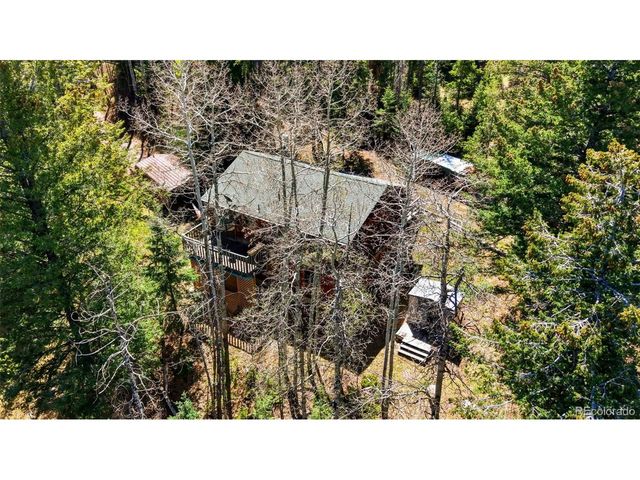 10215 Crystal Dr, Morrison, CO 80465