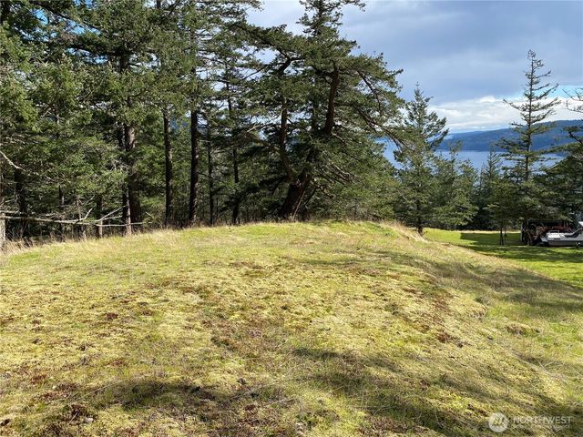 9 Tomihi Drive, Orcas Island, WA 98245