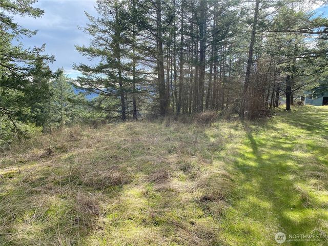 9 Tomihi Drive, Orcas Island, WA 98245