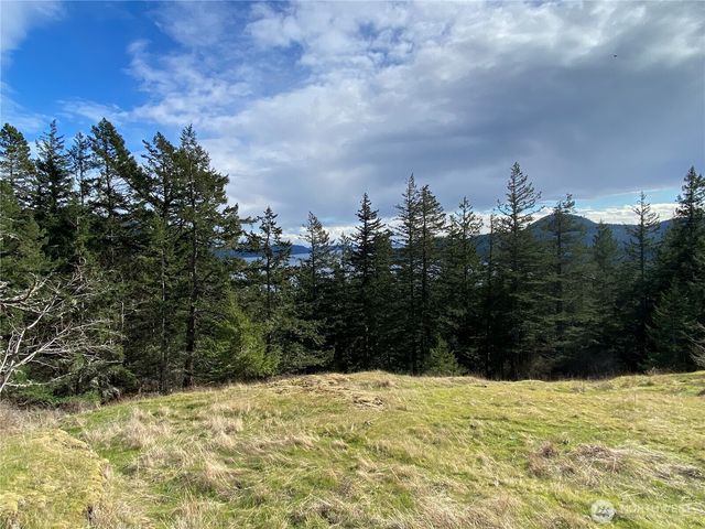 9 Tomihi Drive, Orcas Island, WA 98245