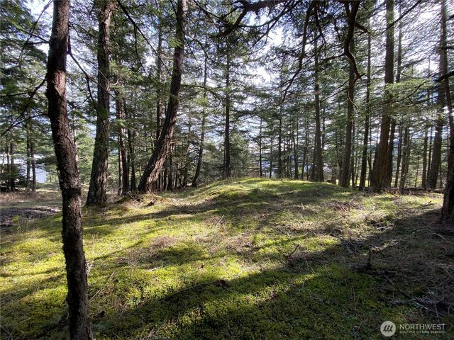 9 Tomihi Drive, Orcas Island, WA 98245