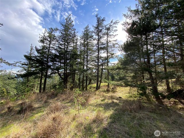 9 Tomihi Drive, Orcas Island, WA 98245