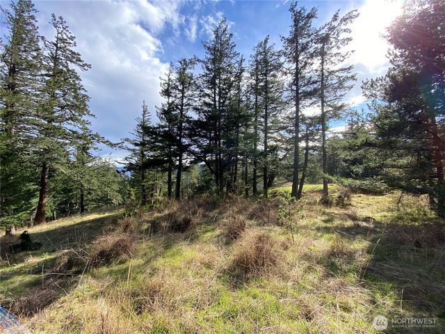9 Tomihi Drive, Orcas Island, WA 98245