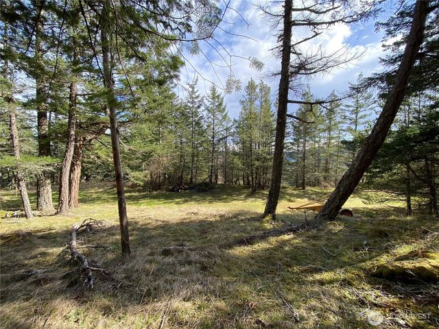 9 Tomihi Drive, Orcas Island, WA 98245
