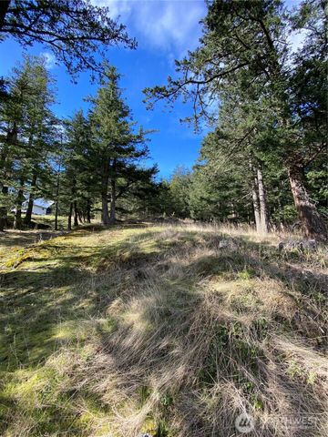 9 Tomihi Drive, Orcas Island, WA 98245