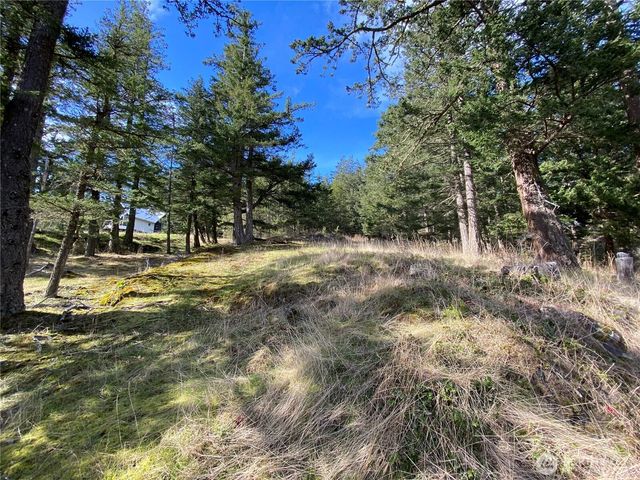 9 Tomihi Drive, Orcas Island, WA 98245