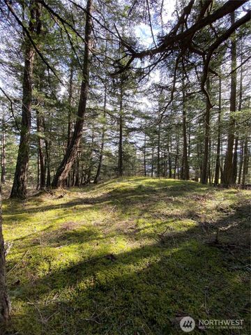 9 Tomihi Drive, Orcas Island, WA 98245
