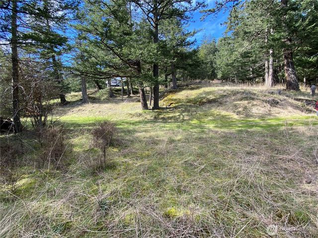 9 Tomihi Drive, Orcas Island, WA 98245
