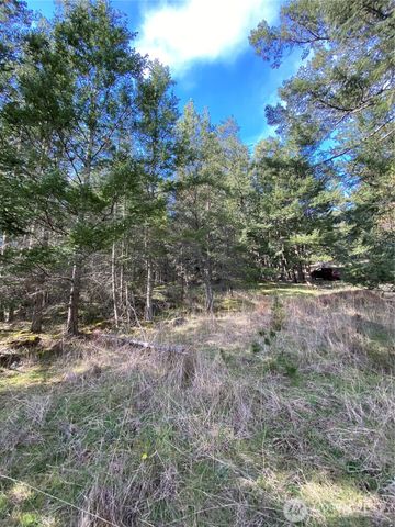9 Tomihi Drive, Orcas Island, WA 98245