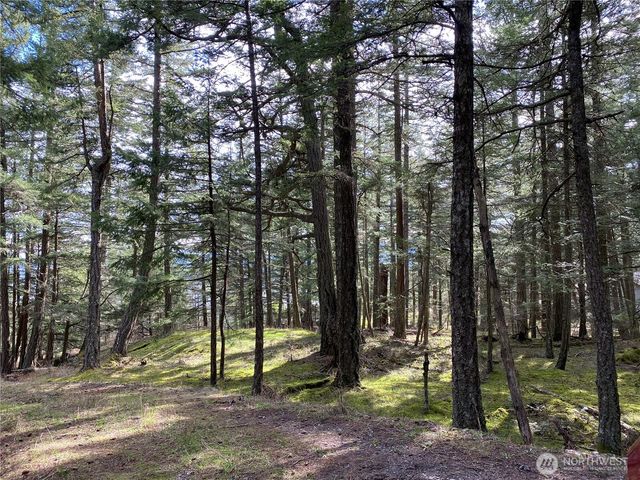 9 Tomihi Drive, Orcas Island, WA 98245