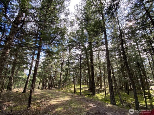 9 Tomihi Drive, Orcas Island, WA 98245