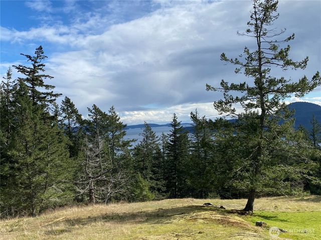 9 Tomihi Drive, Orcas Island, WA 98245