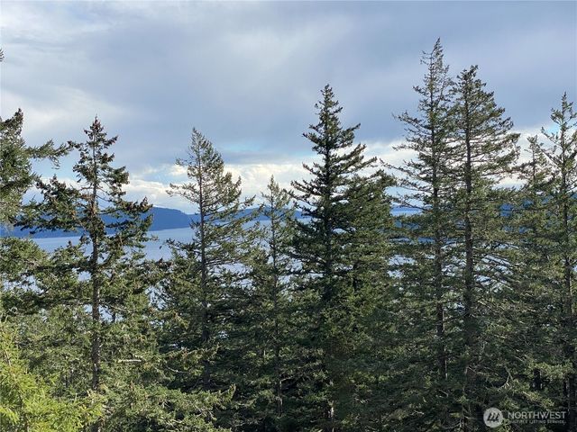 9 Tomihi Drive, Orcas Island, WA 98245