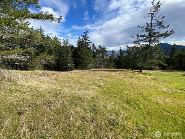 9 Tomihi Drive, Orcas Island, WA 98245