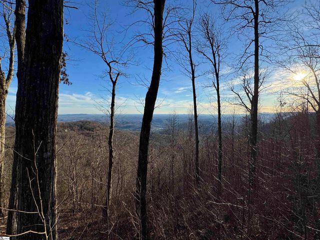 260 Bella Vista Court, Zirconia, NC 28790