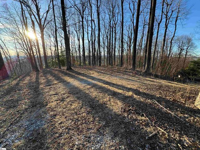 260 Bella Vista Court, Zirconia, NC 28790