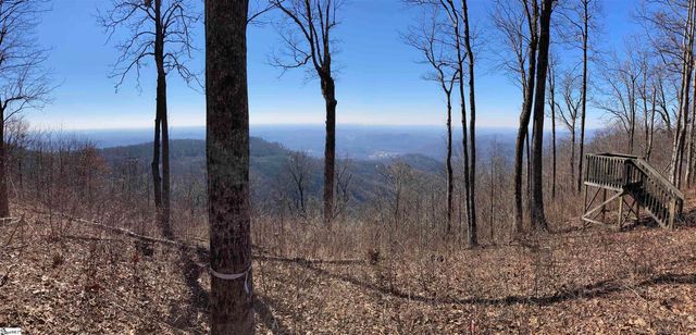 260 Bella Vista Court, Zirconia, NC 28790